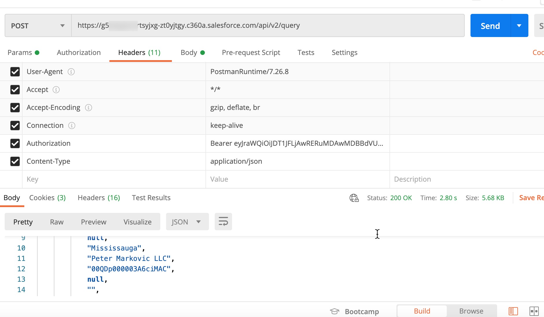 Working with Salesforce Data Cloud APIs – App Cloud 101